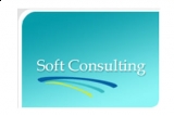 Soft Consulting