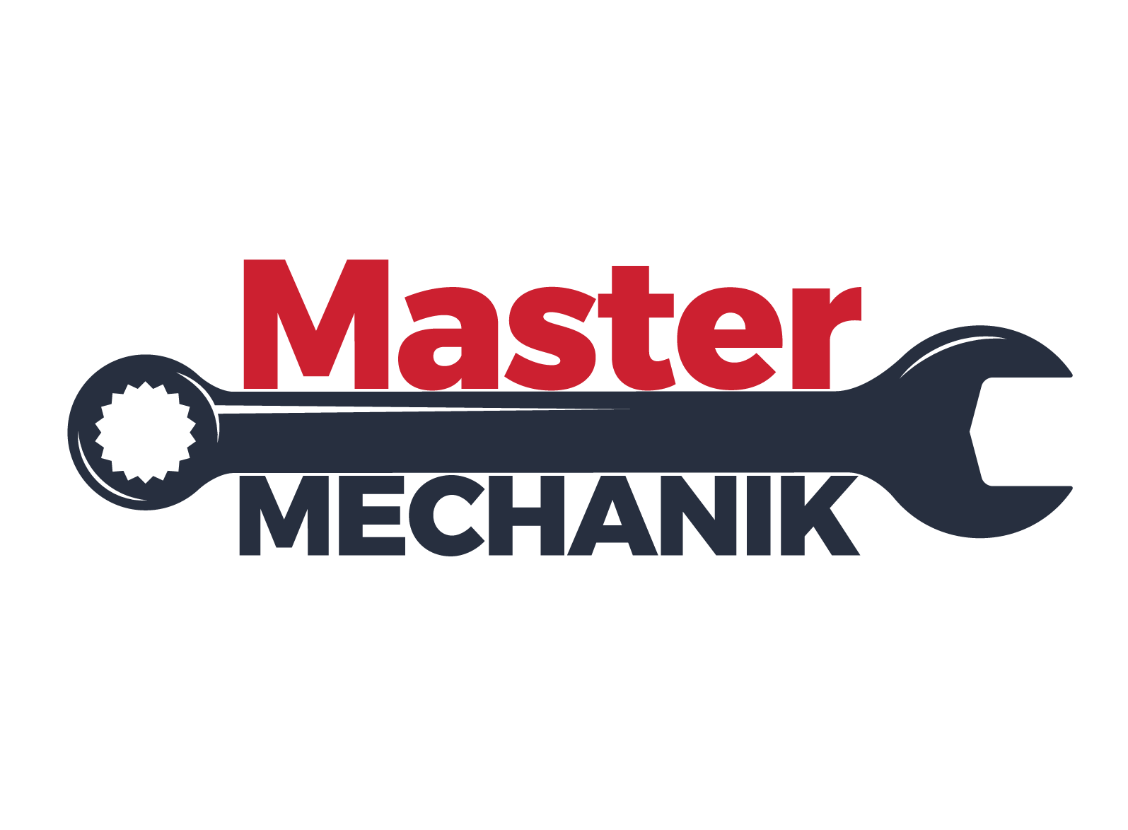 Мастер бренд логотип. Мастер бренд. Mechanic logo. Master stroy logo.