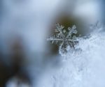 Goodyear bada śnieg dla lepszej mobilności w zimowych warunkach