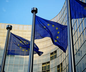 Komisja Europejska powołuje Grupę Ekspertów ds. delegowania kierowców