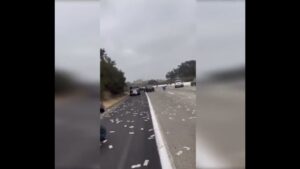 Deszcz pieniędzy na autostradzie – [film]