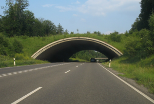 GDDiKA dba o zwierzęta